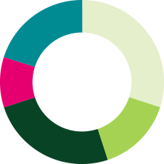 graphique circulaire